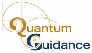 Quantum Guidance