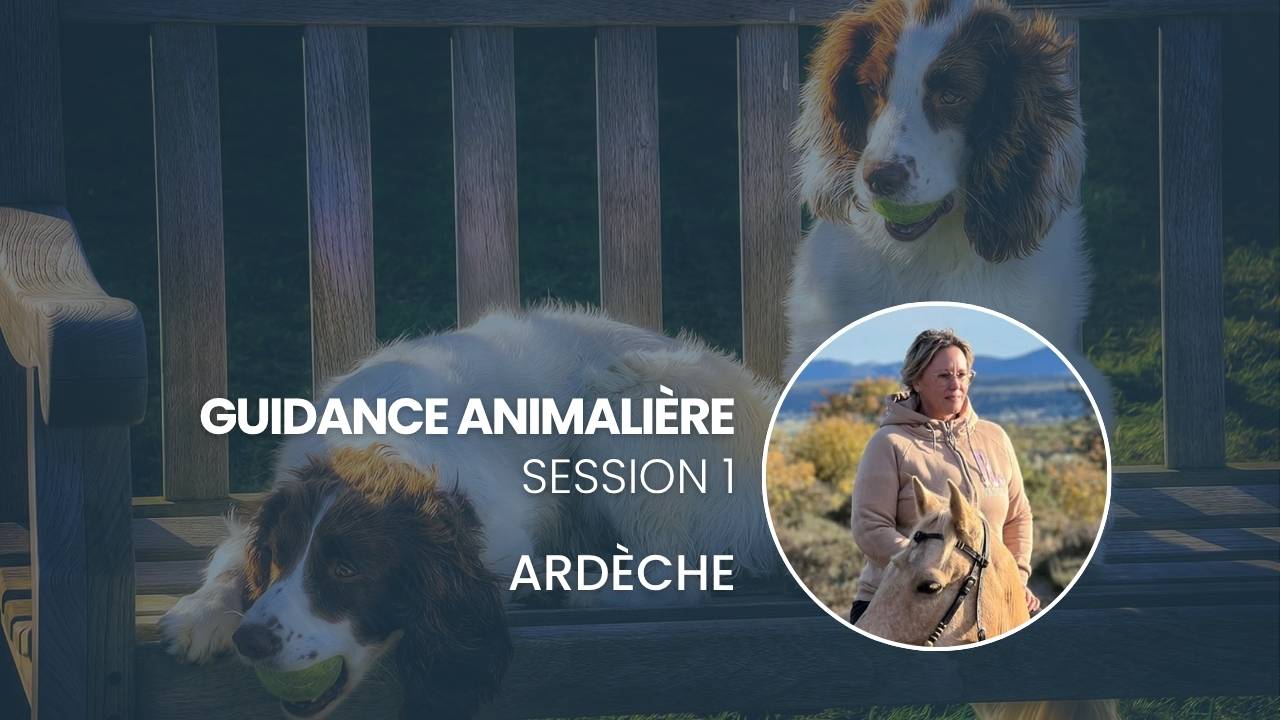 Guidance Animalière – Session 1 – Ardeche – Maud Azibert