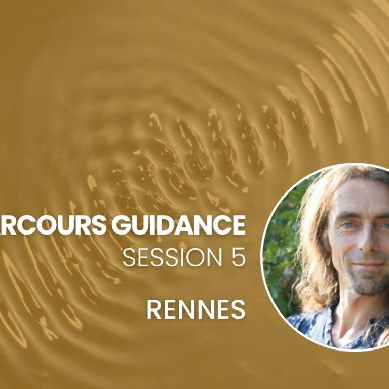 Guidance Quantique - Session 5 - Rennes - Sébastien Dériano