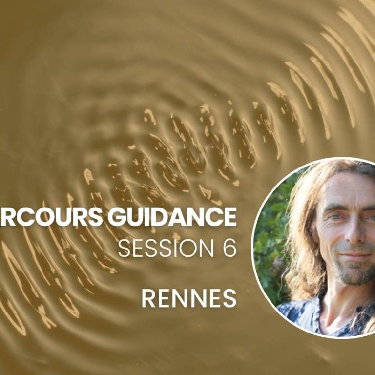 Guidance Quantique - Session 6 - Rennes - Sébastien Dériano
